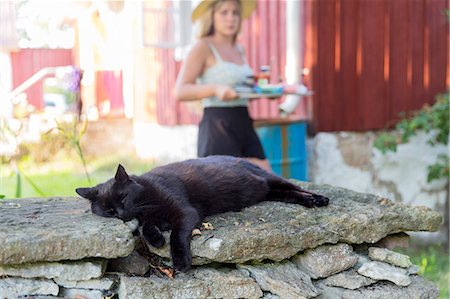 simsearch:6102-08168895,k - Cat sleeping on stone wall, young woman on background Photographie de stock - Premium Libres de Droits, Code: 6102-08000921