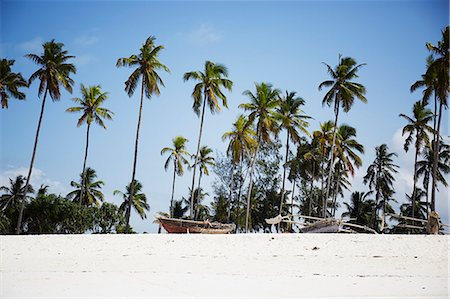 simsearch:6102-07455724,k - Tropical beach with palm trees Stock Photo - Premium Royalty-Free, Code: 6102-08001137