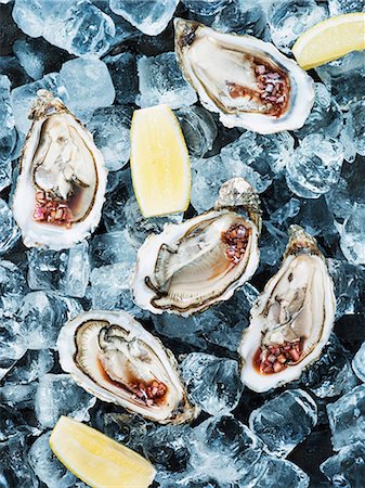 shellfish sweden - Oysters on ice cubes Stock Photo - Premium Royalty-Free, Code: 6102-08001405