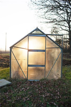 Illuminated greenhouse Stock Photo - Premium Royalty-Free, Code: 6102-08168662