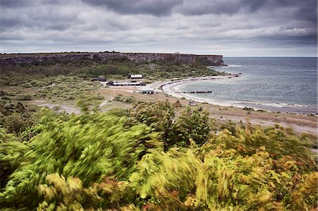 simsearch:6102-07843024,k - View of sandy beach at windy day Photographie de stock - Premium Libres de Droits, Code: 6102-08168999