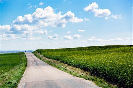 simsearch:6102-08760232,k - View of country road Photographie de stock - Premium Libres de Droits, Code: 6102-08183954