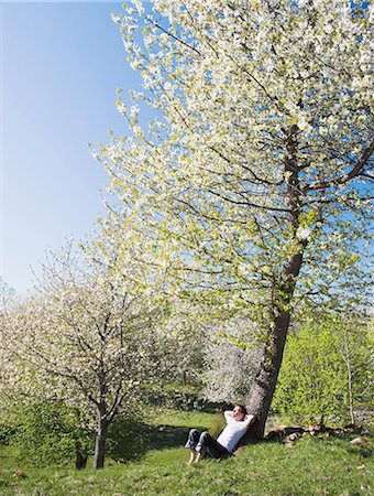 Man relaxing under blossoming tree Stock Photo - Premium Royalty-Free, Code: 6102-08184179
