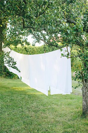 sabana - Laundry hanging in garden Foto de stock - Sin royalties Premium, Código: 6102-08120297