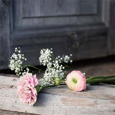 Wildflowers on doorstep Foto de stock - Sin royalties Premium, Código: 6102-08120556