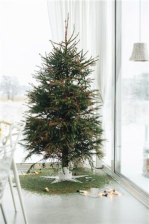 Christmas lights under Christmas tree Photographie de stock - Premium Libres de Droits, Code: 6102-08120511