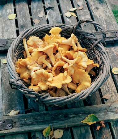 Chanterelles in basket Photographie de stock - Premium Libres de Droits, Code: 6102-08120876