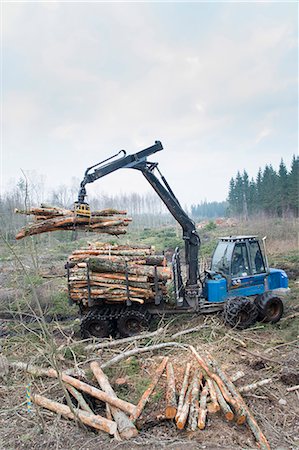 simsearch:6102-08120935,k - Logging vehicle carrying timber Stock Photo - Premium Royalty-Free, Code: 6102-08120936