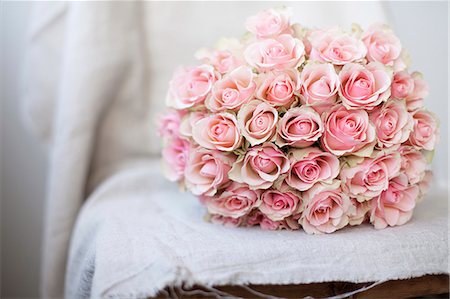 pink roses white background - Rose bouquet Foto de stock - Sin royalties Premium, Código: 6102-08270672