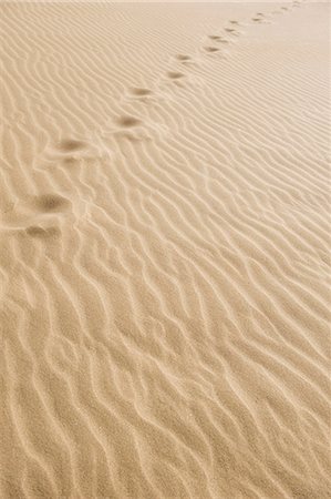 Footprints on sand Photographie de stock - Premium Libres de Droits, Code: 6102-08270637