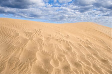 Sand dune Foto de stock - Sin royalties Premium, Código: 6102-08270636