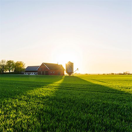 Green field and farmhouse Stock Photo - Premium Royalty-Free, Code: 6102-08271259