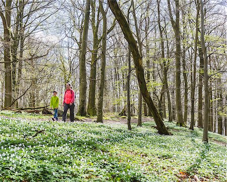 simsearch:6102-08994936,k - Mother with son walking in forest Photographie de stock - Premium Libres de Droits, Code: 6102-08271479