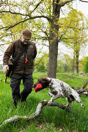 simsearch:6105-08211241,k - Hunter with hunting dog Photographie de stock - Premium Libres de Droits, Code: 6102-08271404