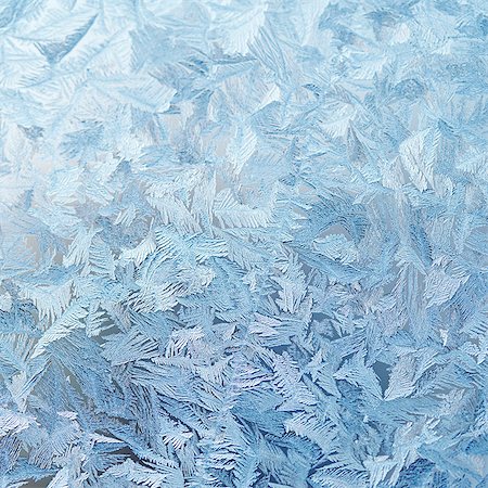 exterior window glass pattern - Ice crystals on glass Stock Photo - Premium Royalty-Free, Code: 6102-08271414