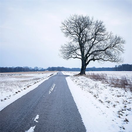 simsearch:6102-08882189,k - Country road at winter Stock Photo - Premium Royalty-Free, Code: 6102-08271629