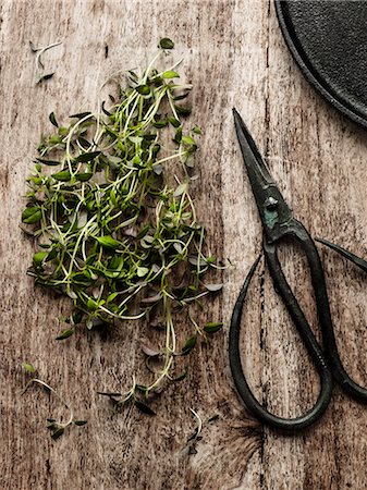 Thyme and scissors on wooden background Photographie de stock - Premium Libres de Droits, Code: 6102-08278833