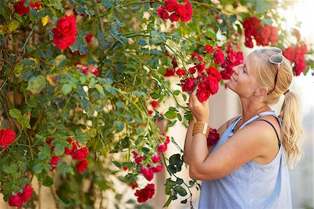 Woman smelling rose Foto de stock - Sin royalties Premium, Código: 6102-08278914