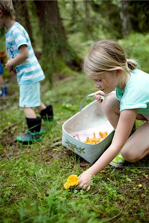 sweden picking mushrooms - Children picking mushrooms in forest Stock Photo - Premium Royalty-Free, Code: 6102-08384075