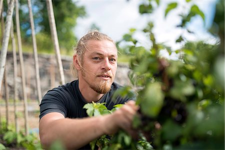 Man working in garden Stock Photo - Premium Royalty-Free, Code: 6102-08384148