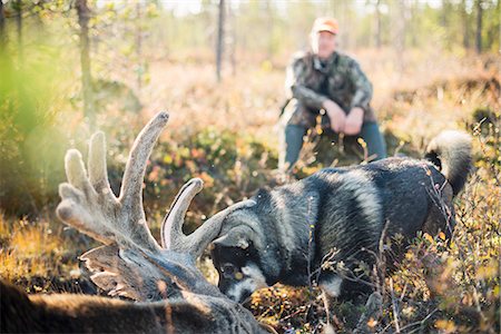 proie - Hunter with dead elk Photographie de stock - Premium Libres de Droits, Code: 6102-08384486