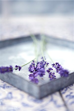 simsearch:6102-08388207,k - Lavenders on tray Foto de stock - Sin royalties Premium, Código: 6102-08388207