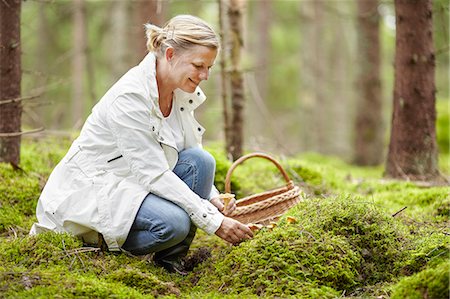 Woman picking mushrooms Photographie de stock - Premium Libres de Droits, Code: 6102-08329675