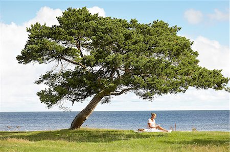 simsearch:6102-08278886,k - Woman sitting under tree at sea Photographie de stock - Premium Libres de Droits, Code: 6102-08329711