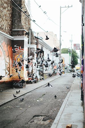 Pigeons flying over street Stock Photo - Premium Royalty-Free, Code: 6102-08330062