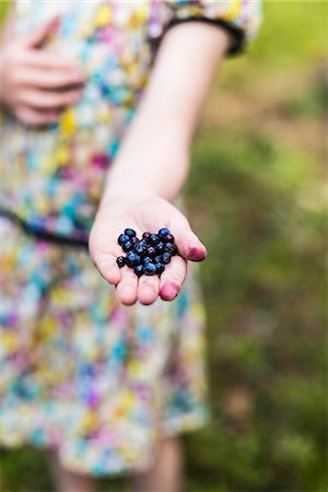 Girls hand with blueberries Stockbilder - Premium RF Lizenzfrei, Bildnummer: 6102-08330078