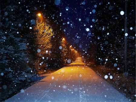 snowy trees - Illuminated road at winter Stock Photo - Premium Royalty-Free, Code: 6102-08480786