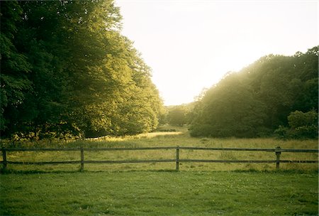 Fence through meadow Stock Photo - Premium Royalty-Free, Code: 6102-08480984