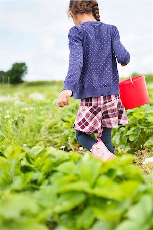 picking - Girl picking strawberries Stock Photo - Premium Royalty-Free, Code: 6102-08542065
