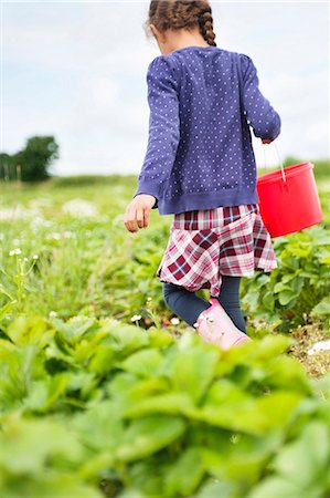 Girl picking strawberries Stock Photo - Premium Royalty-Free, Code: 6102-08542065