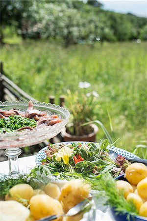 serving dish - Food on table in garden Photographie de stock - Premium Libres de Droits, Code: 6102-08542037