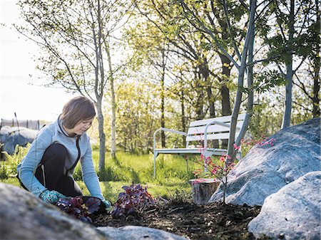 simsearch:6102-03750096,k - Woman gardening in park Stock Photo - Premium Royalty-Free, Code: 6102-08542231