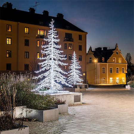 Christmas trees illuminated at dusk Photographie de stock - Premium Libres de Droits, Code: 6102-08542317