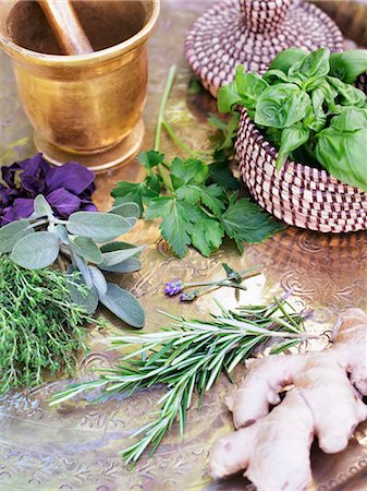 Sweden, Stockholm, fresh herbs Stock Photo - Premium Royalty-Free, Code: 6102-08558744