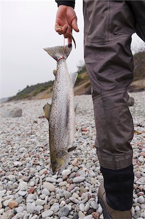 Man standing with dead fish Photographie de stock - Premium Libres de Droits, Code: 6102-08558896
