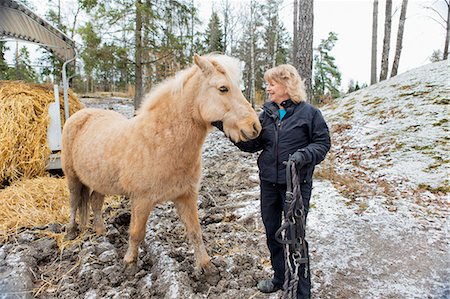 sweden, winter - Senior woman with Icelandic horse Stock Photo - Premium Royalty-Free, Code: 6102-08559146