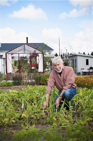 simsearch:6102-08520590,k - Senior man working in garden Stock Photo - Premium Royalty-Free, Code: 6102-08559254