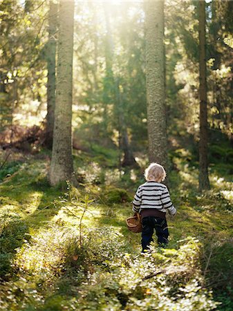 simsearch:6102-08559111,k - A girl picking mushrooms in the forest, Sweden. Stock Photo - Premium Royalty-Free, Code: 6102-08559437