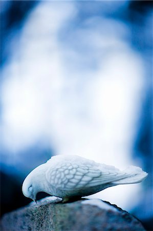 simsearch:6102-08542337,k - Sculptured dove on a tombstone, Sweden. Stockbilder - Premium RF Lizenzfrei, Bildnummer: 6102-08559580