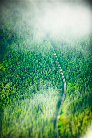 perspective abstract - Road through forest Stock Photo - Premium Royalty-Free, Code: 6102-08566156