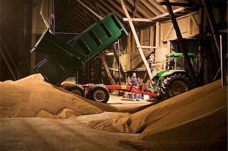 farming equipment - Tractor unloading grain in barn Foto de stock - Sin royalties Premium, Código: 6102-08566114