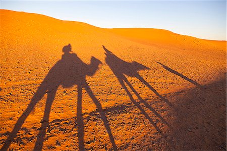 simsearch:6102-08566362,k - Shadows of camels on desert Stock Photo - Premium Royalty-Free, Code: 6102-08566286