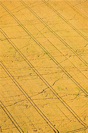 simsearch:6102-08542273,k - Aerial view of cultivated field Photographie de stock - Premium Libres de Droits, Code: 6102-08520515