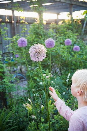 simsearch:6102-08542042,k - Young girl touching flowers Photographie de stock - Premium Libres de Droits, Code: 6102-08520533