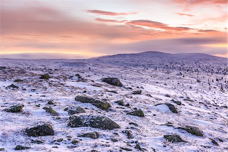 simsearch:6102-08858656,k - Winter landscape at sunrise Photographie de stock - Premium Libres de Droits, Code: 6102-08520647