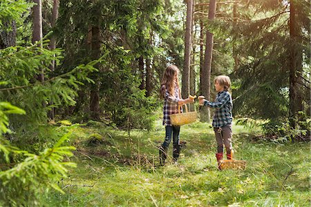 simsearch:6102-03748334,k - Brother and sister picking mushrooms in forest Stock Photo - Premium Royalty-Free, Code: 6102-08520610
